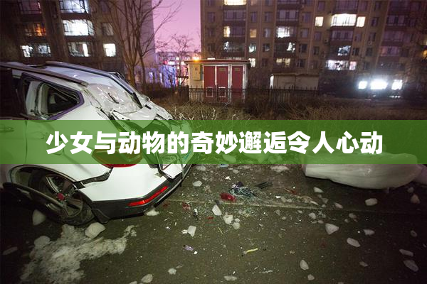 少女与动物的奇妙邂逅令人心动