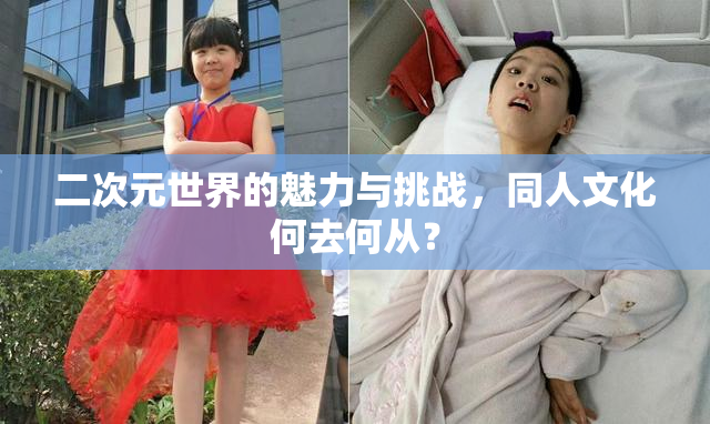 二次元世界的魅力与挑战，同人文化何去何从？