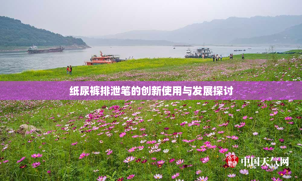 纸尿裤排泄笔的创新使用与发展探讨