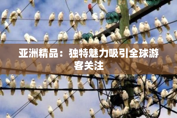 亚洲精品：独特魅力吸引全球游客关注