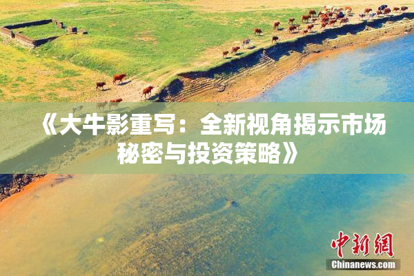 《大牛影重写：全新视角揭示市场秘密与投资策略》