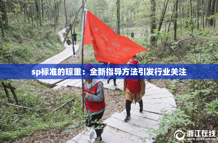 sp标准的晾重：全新指导方法引发行业关注