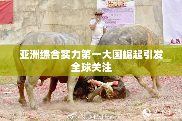 亚洲综合实力第一大国崛起引发全球关注