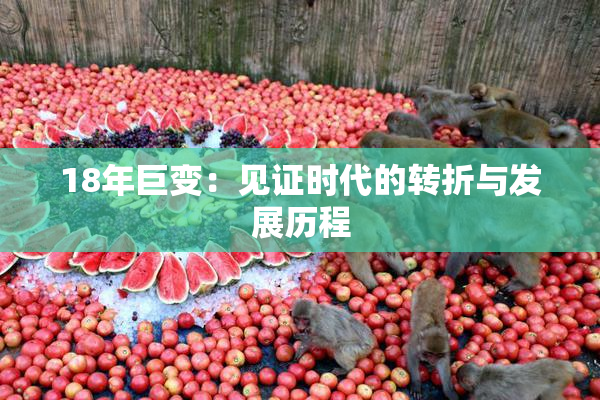 18年巨变：见证时代的转折与发展历程