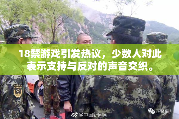 18禁游戏引发热议，少数人对此表示支持与反对的声音交织。