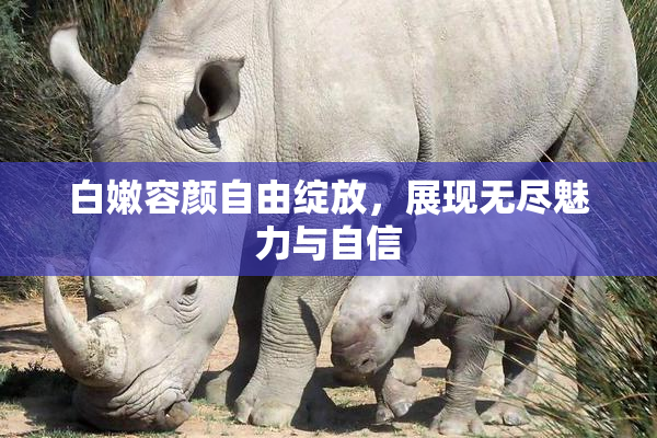 白嫩容颜自由绽放，展现无尽魅力与自信