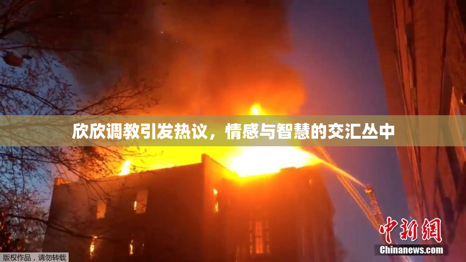 欣欣调教引发热议，情感与智慧的交汇丛中