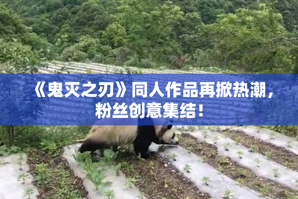 《鬼灭之刃》同人作品再掀热潮，粉丝创意集结！