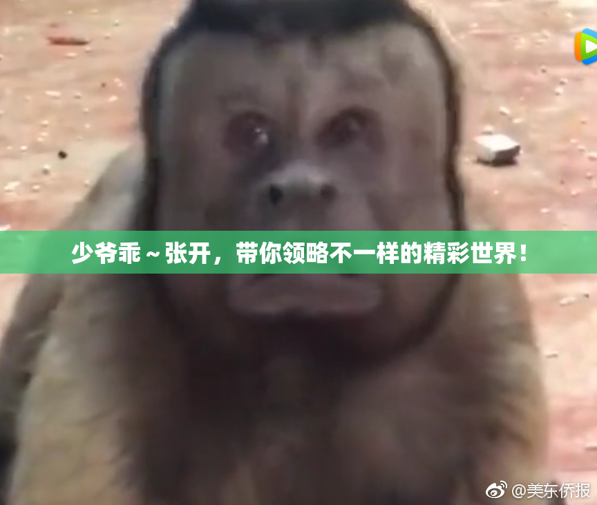 少爷乖～张开，带你领略不一样的精彩世界！