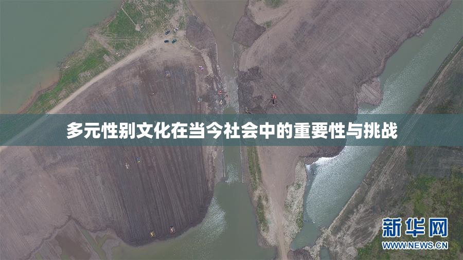 多元性别文化在当今社会中的重要性与挑战