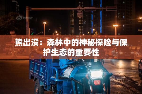 熊出没：森林中的神秘探险与保护生态的重要性