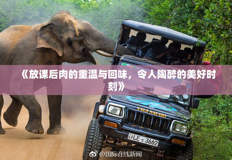 《放课后肉的重温与回味，令人陶醉的美好时刻》