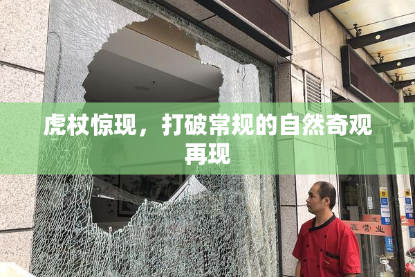 虎杖惊现，打破常规的自然奇观再现