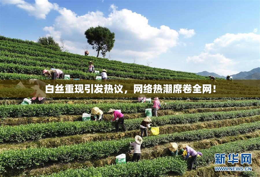 白丝重现引发热议，网络热潮席卷全网！