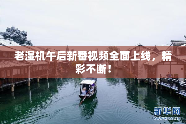 老湿机午后新番视频全面上线，精彩不断！