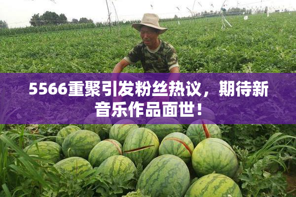 5566重聚引发粉丝热议，期待新音乐作品面世！
