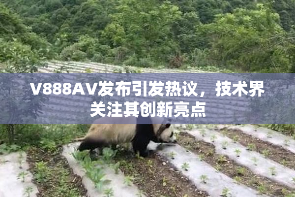 V888AV发布引发热议，技术界关注其创新亮点