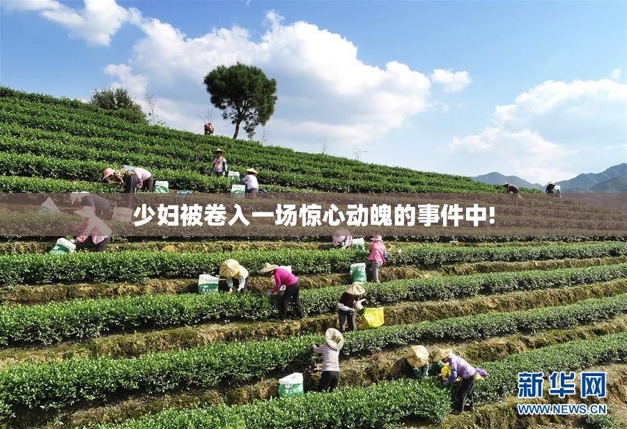 少妇被卷入一场惊心动魄的事件中!