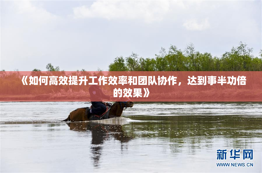 《如何高效提升工作效率和团队协作，达到事半功倍的效果》