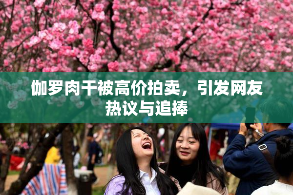 伽罗肉干被高价拍卖，引发网友热议与追捧