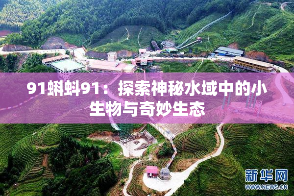 91蝌蚪91：探索神秘水域中的小生物与奇妙生态