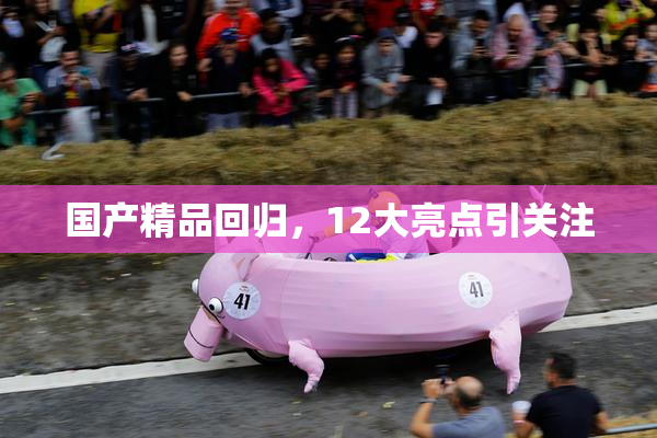 国产精品回归，12大亮点引关注