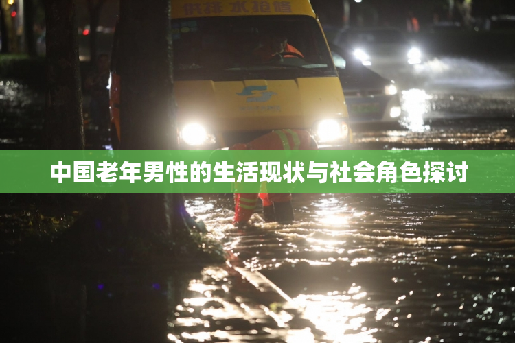 中国老年男性的生活现状与社会角色探讨