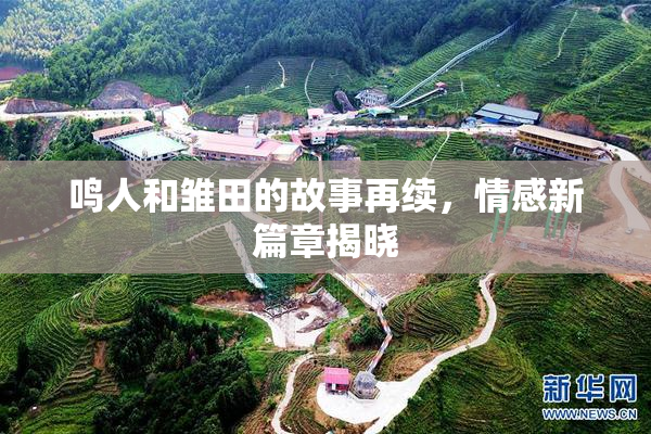 鸣人和雏田的故事再续，情感新篇章揭晓