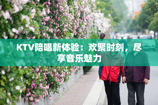 KTV陪唱新体验：欢聚时刻，尽享音乐魅力