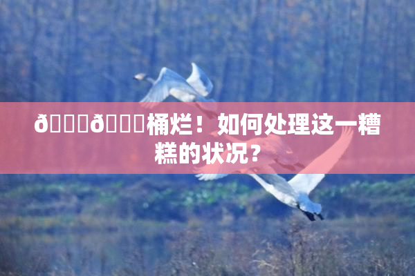 🐔🐔桶烂！如何处理这一糟糕的状况？