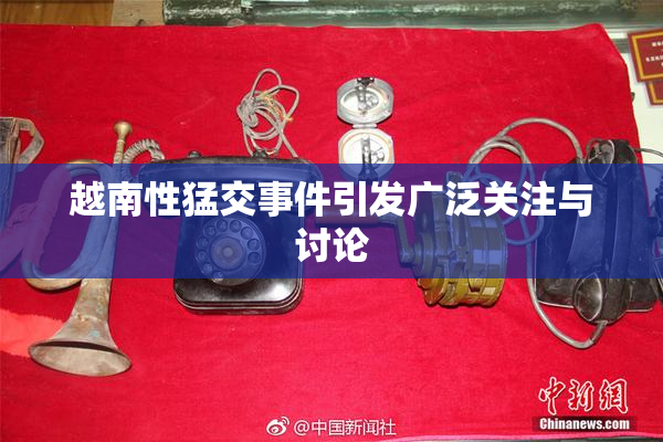 越南性猛交事件引发广泛关注与讨论