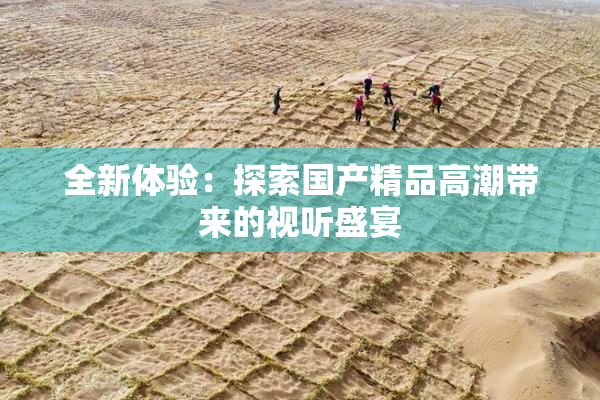 全新体验：探索国产精品高潮带来的视听盛宴