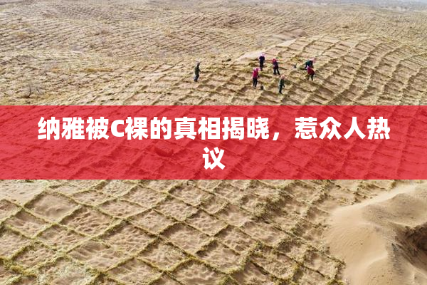 纳雅被C裸的真相揭晓，惹众人热议