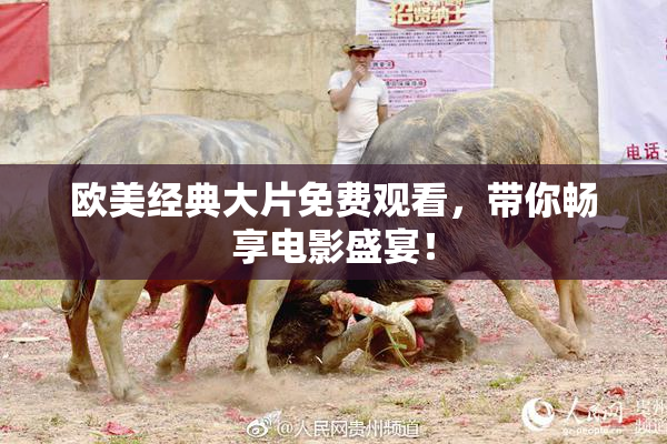 欧美经典大片免费观看，带你畅享电影盛宴！