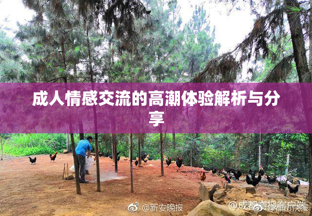 成人情感交流的高潮体验解析与分享