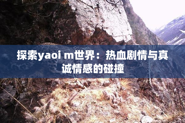 探索yaoi m世界：热血剧情与真诚情感的碰撞