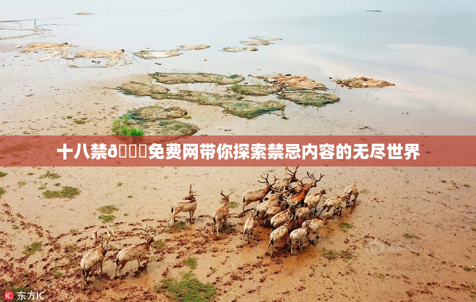 十八禁🔞免费网带你探索禁忌内容的无尽世界