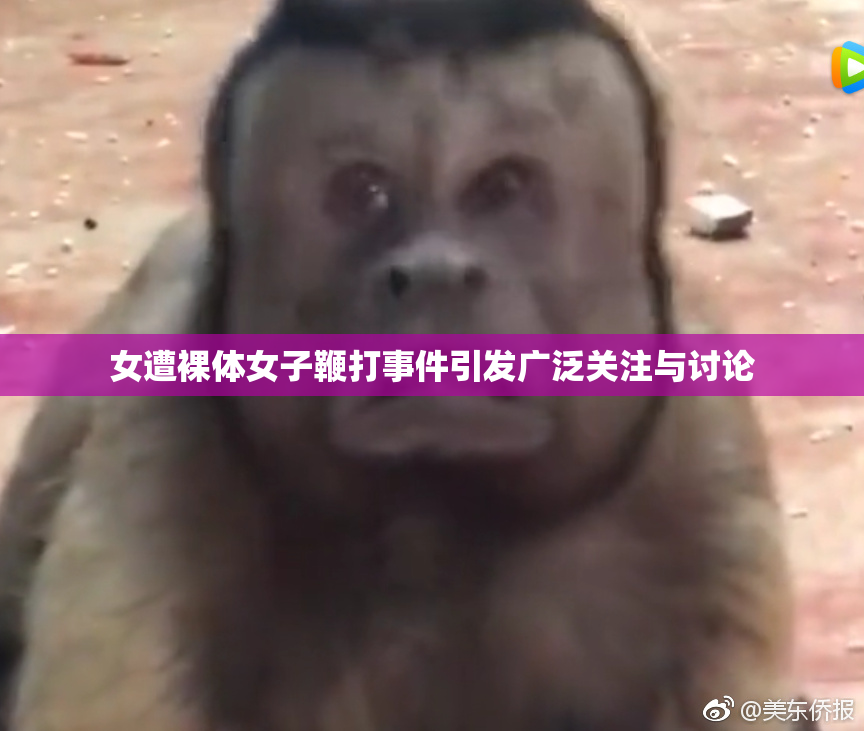 女遭裸体女子鞭打事件引发广泛关注与讨论