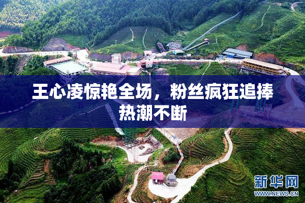 王心凌惊艳全场，粉丝疯狂追捧热潮不断