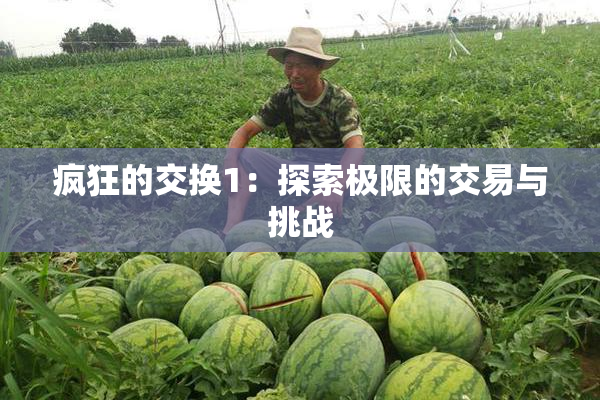 疯狂的交换1：探索极限的交易与挑战