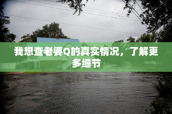 我想查老婆Q的真实情况，了解更多细节