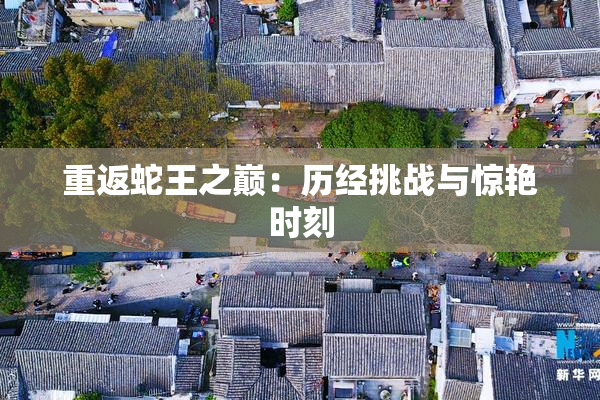 重返蛇王之巅：历经挑战与惊艳时刻