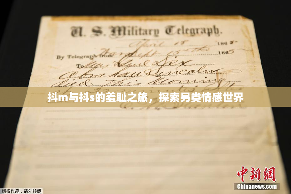 抖m与抖s的羞耻之旅，探索另类情感世界