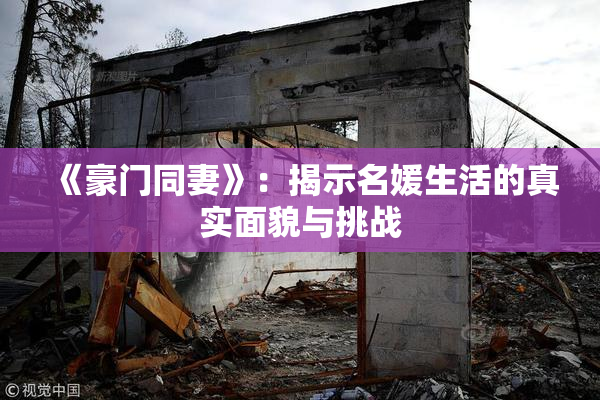 《豪门同妻》：揭示名媛生活的真实面貌与挑战