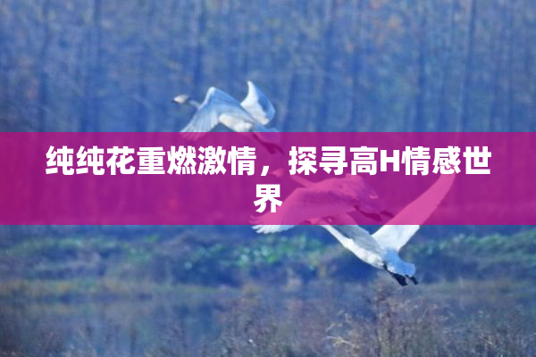 纯纯花重燃激情，探寻高H情感世界