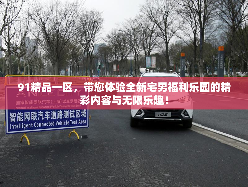 91精品一区，带您体验全新宅男福利乐园的精彩内容与无限乐趣！