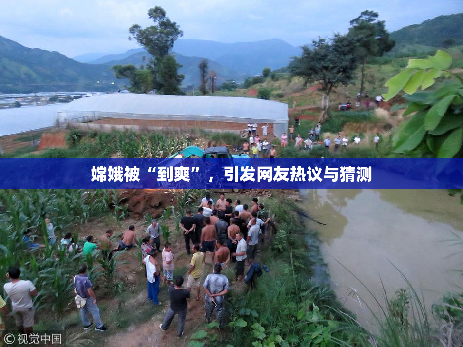 嫦娥被“到爽”，引发网友热议与猜测