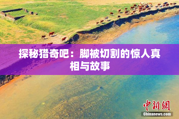 探秘猎奇吧：脚被切割的惊人真相与故事