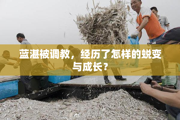蓝湛被调教，经历了怎样的蜕变与成长？