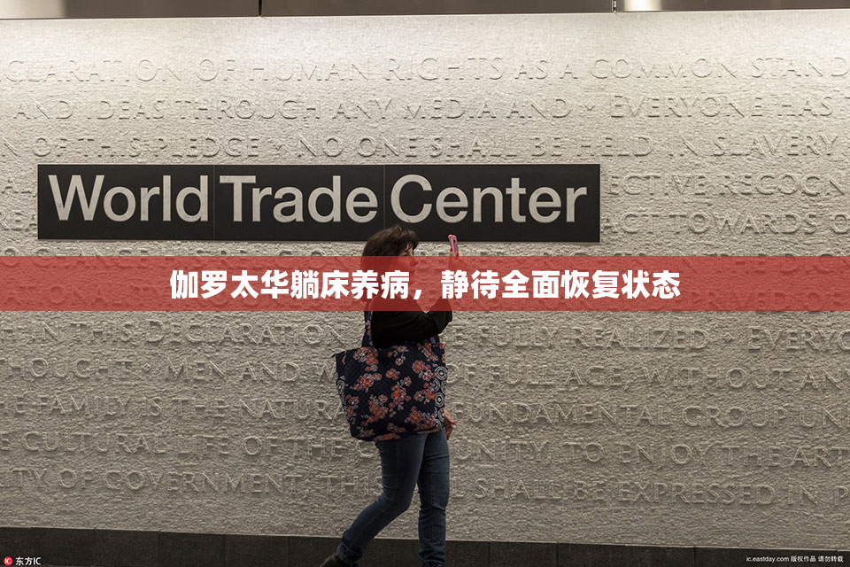 伽罗太华躺床养病，静待全面恢复状态